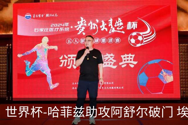 世界杯-哈菲兹助攻阿舒尔破门 埃及半场暂1-0澳大利亚