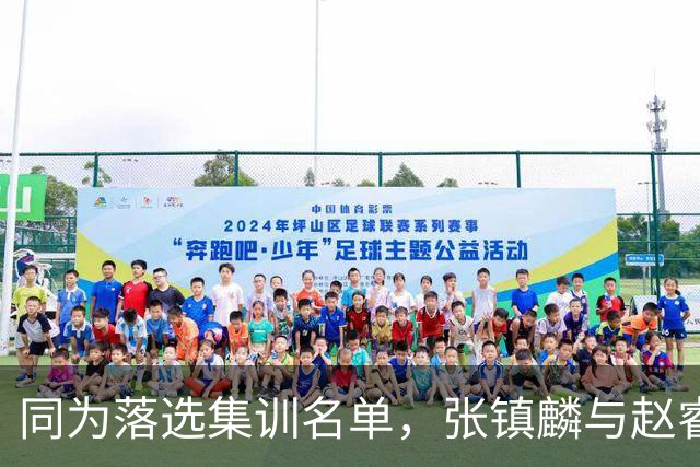 同为落选集训名单，张镇麟与赵睿的境遇差异何在？