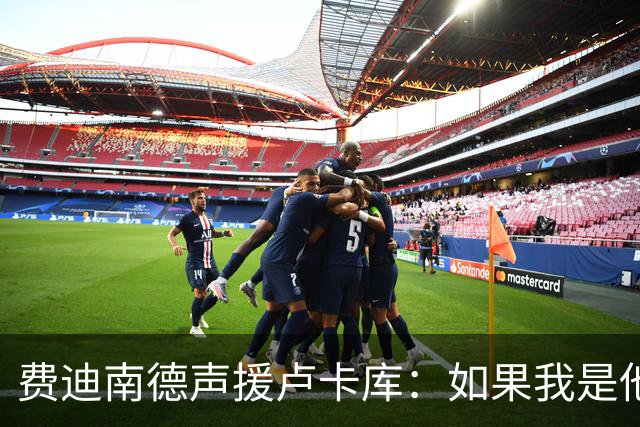 费迪南德声援卢卡库：如果我是他 我可能会疯