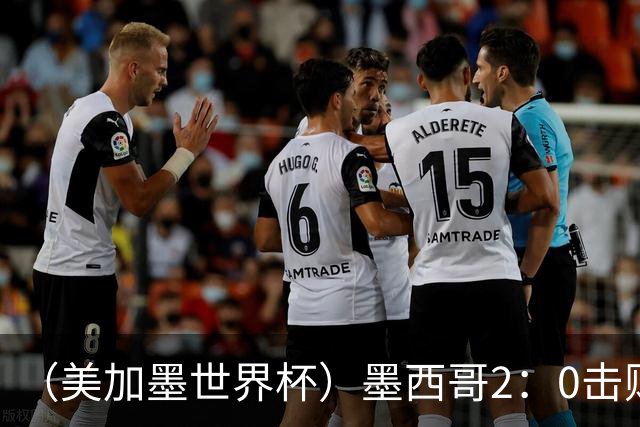 （美加墨世界杯）墨西哥2：0击败厄瓜多尔晋级16强